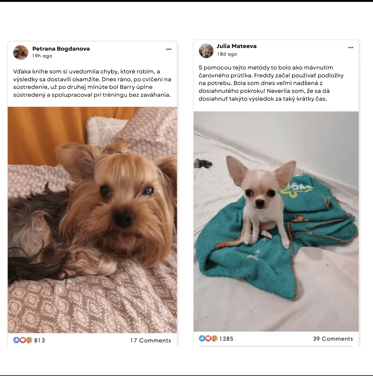 Príručka na výcvik psov - ProPetCo