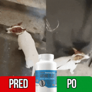ARTHRO PLUS 30 tabliet – Pohyb bez bolesti, život bez obmedzení