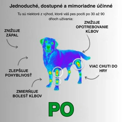 ARTHRO PLUS 30 tabliet – Pohyb bez bolesti, život bez obmedzení - ProPetCo
